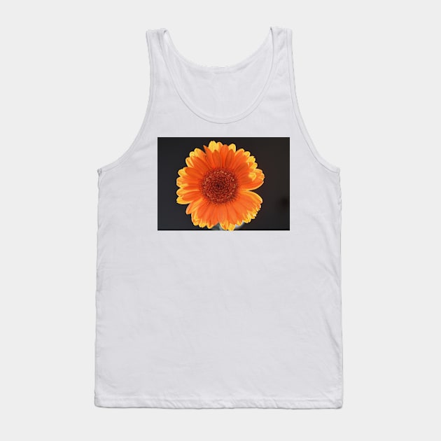 Orange gerbera in sunlight Tank Top by goldyart